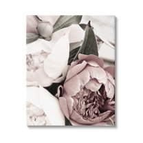 Budding Peony Petals Close Up Botanical & Floral Photograph Gallery Wrapped Canvas Print Wall Art