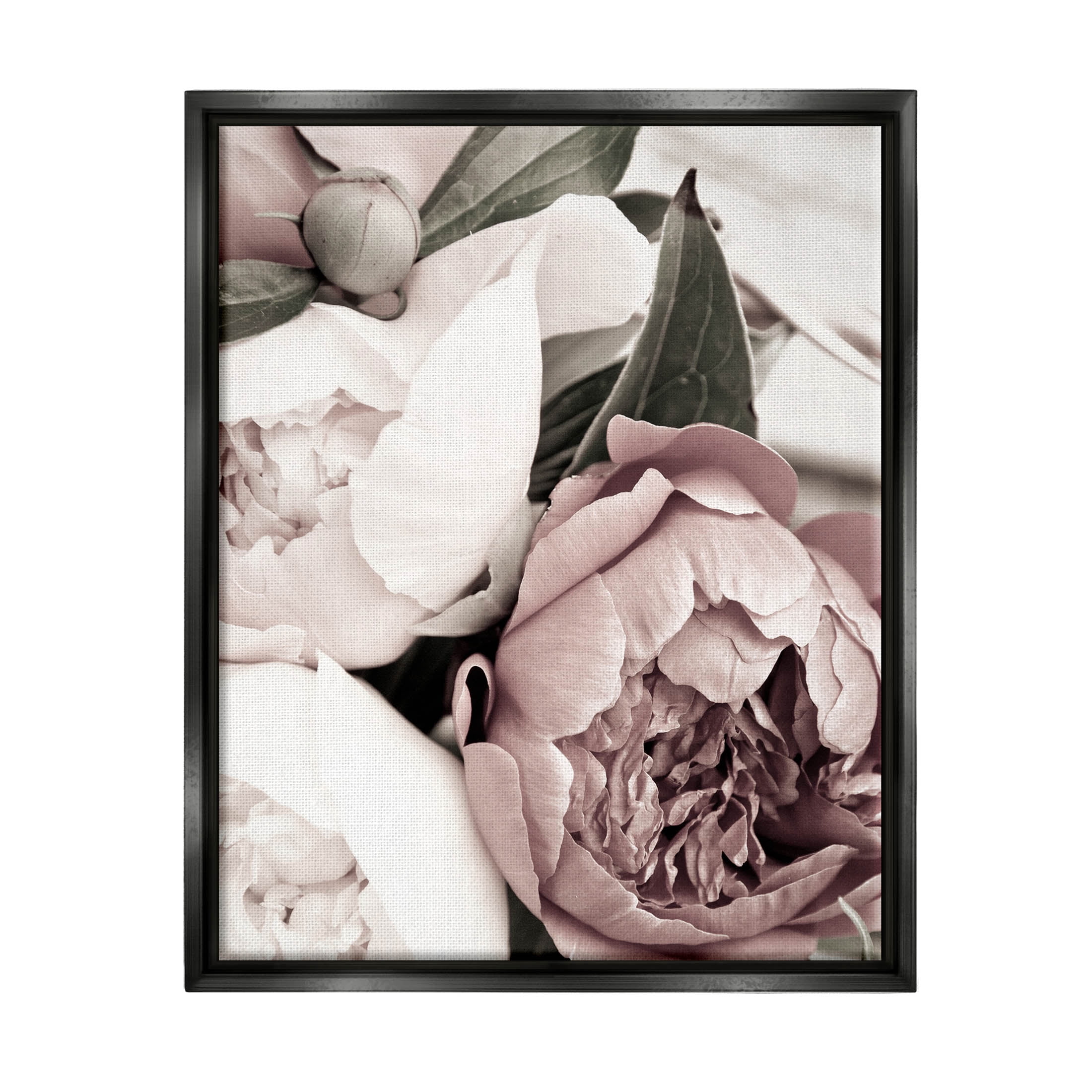 Budding Peony Petals Close Up Botanical & Floral Photograph Jet Black Framed Art Print Wall Art