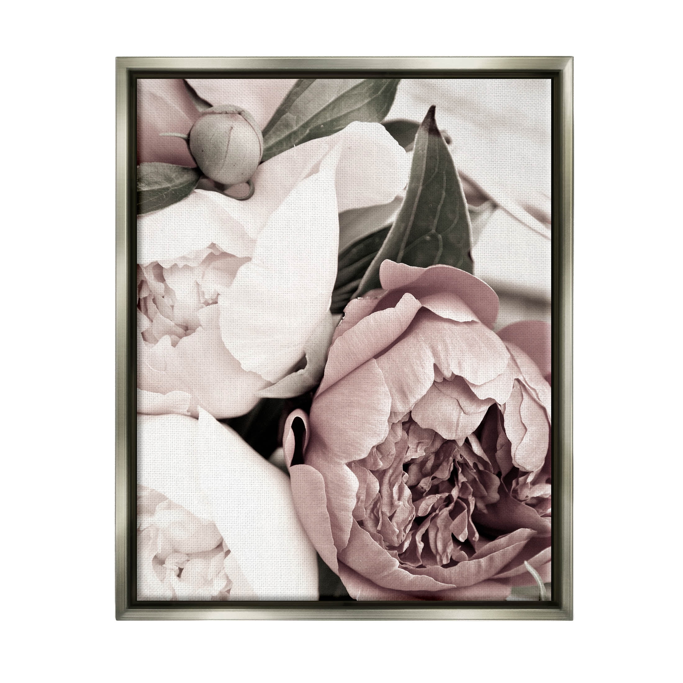 Budding Peony Petals Close Up Botanical & Floral Photograph Luster Gray Framed Art Print Wall Art