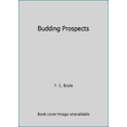 thumbnail image 1 of Pre-Owned Budding Prospects (Paperback) 0140081518 9780140081510, 1 of 1
