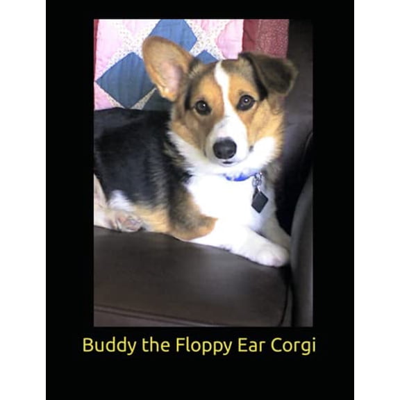 Pre-Owned Buddy The Floppy Ear Corgi: 1 (Buddy Books) Paperback