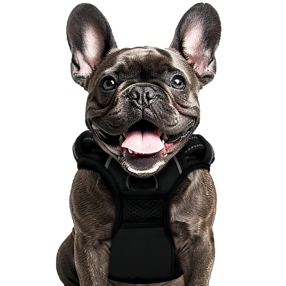 Buddy's Best Dog Harness, No-Pull Pet Harness with 2 Leash Clips, Adjustable Soft Padded Reflective Safety Pet Harness for No-Choke Pet Training (Black, Large)