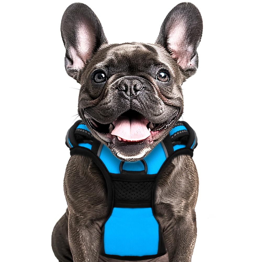 Buddy's Best Dog Harness, No-Pull Pet Harness with 2 Leash Clips, Adjustable Soft Padded Reflective Safety Pet Harness for No-Choke Pet Training (Blue, Extra-Large)