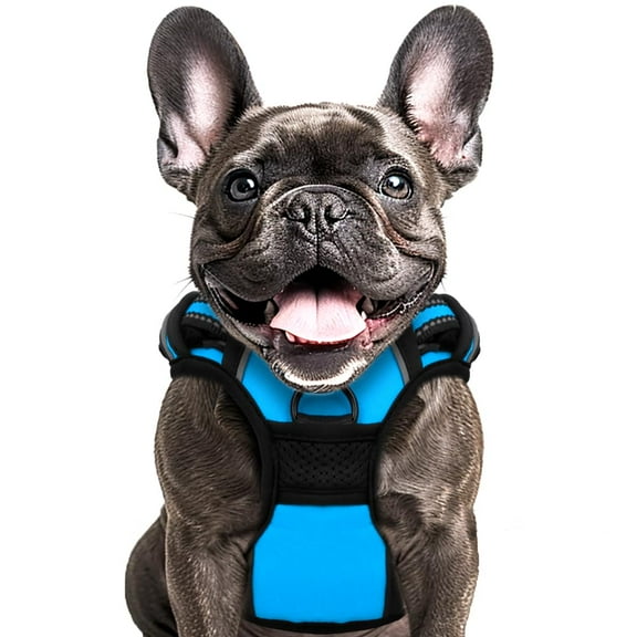 Buddy's Best Dog Harness, No-Pull Pet Harness with 2 Leash Clips, Adjustable Soft Padded Reflective Safety Pet Harness for No-Choke Pet Training (Blue, Small)