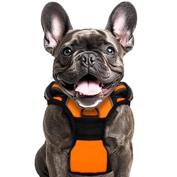 Buddy's Best Dog Harness, No-Pull Pet Harness with 2 Leash Clips, Adjustable Soft Padded Reflective Safety Pet Harness for No-Choke Pet Training (Orange, Medium)