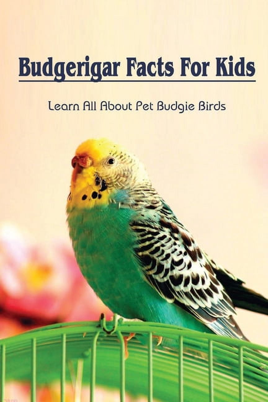 Budgerigar Facts For Kids Learn All About Pet Budgie Birds Types Of