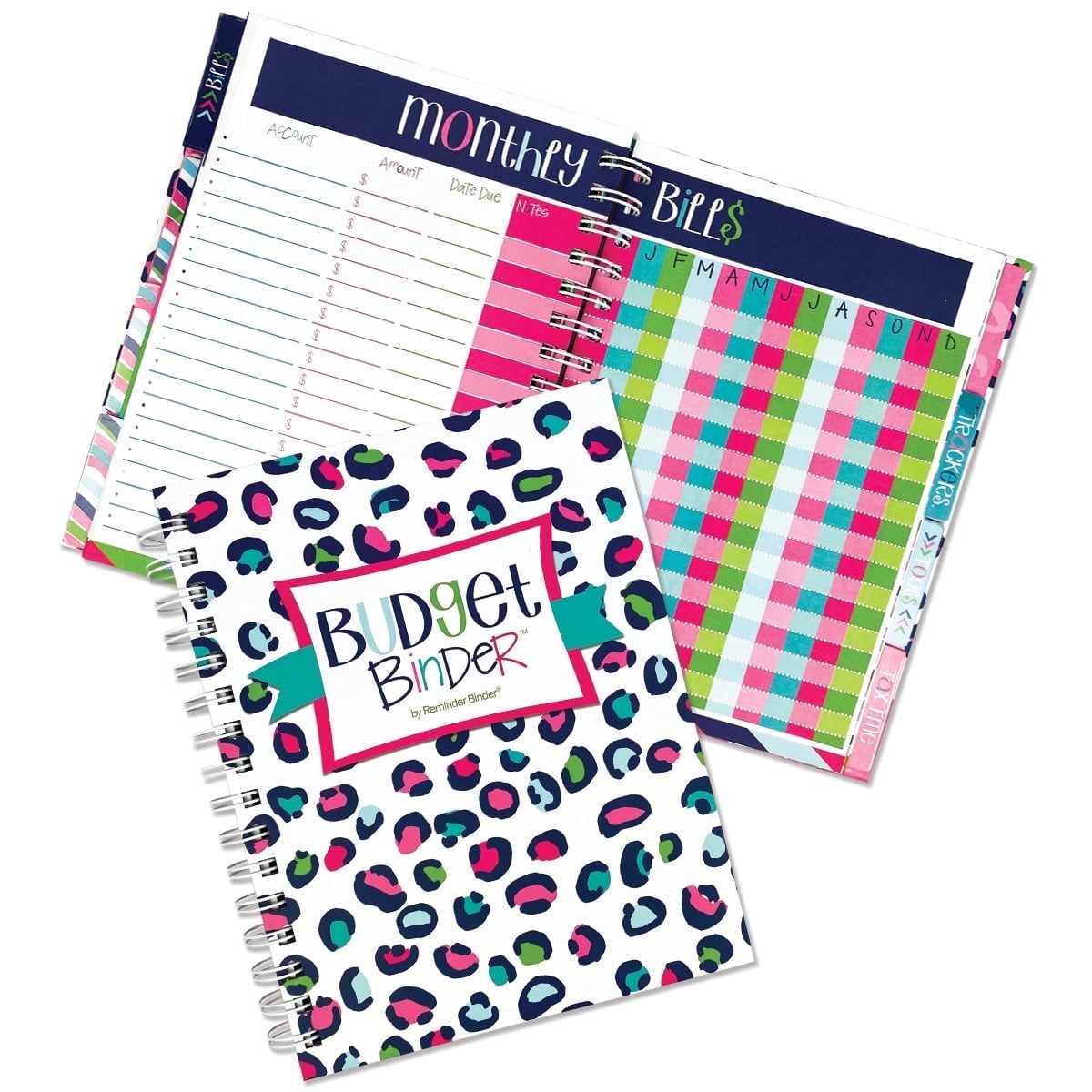 Budget Binder™ 12-Month Budget Planner and Finance Organizer with 354 Stickers, Non-Dated Monthly Bill Tracker by Denise Albright