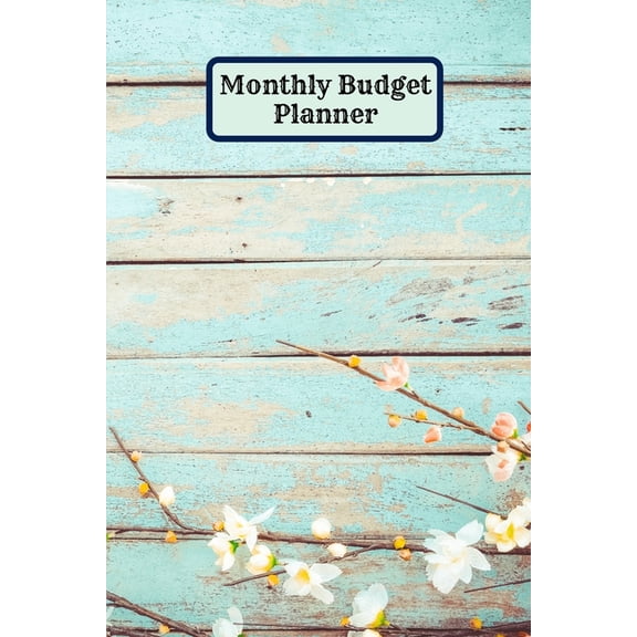 Budget Planner Monthly (Paperback)