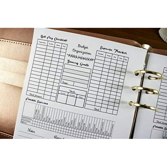Budget at a Glance Planner Refill, Bill Pay Checklist for A5 Planners