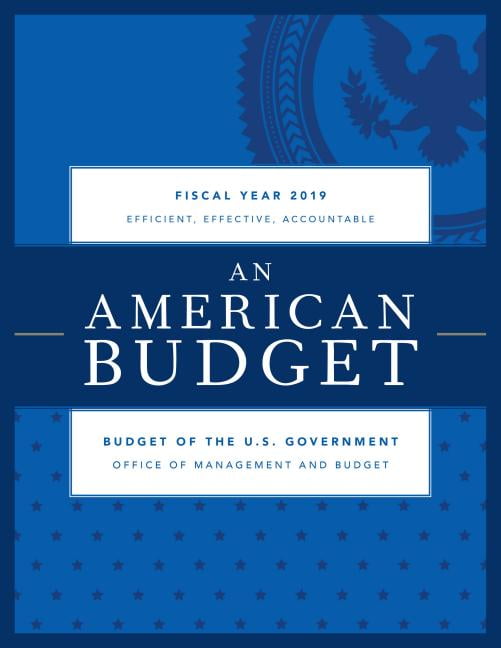 Budget of the United States Government, Fiscal Year 2019 : An American Budget (Paperback)