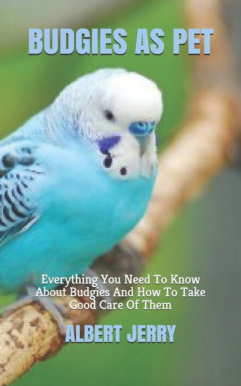 Budgies as Pet : Everything You Need To Know About Budgies And How To Take Good Care Of Them (Paperback)