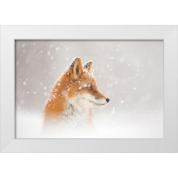 Budkov, Denis 18x13 White Modern Wood Framed Museum Art Print Titled - Snow Is Fallinga?B