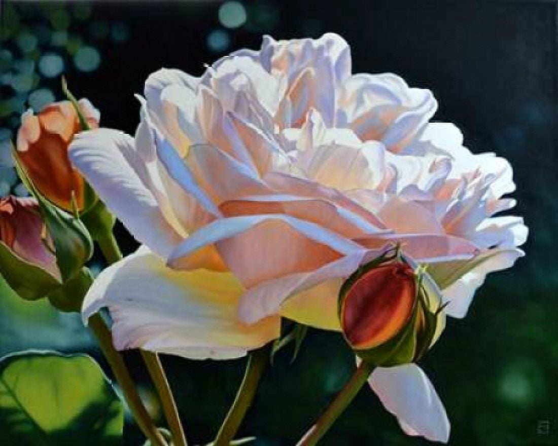 Buds Canvas Art - Michael Schuh (24 x 30)