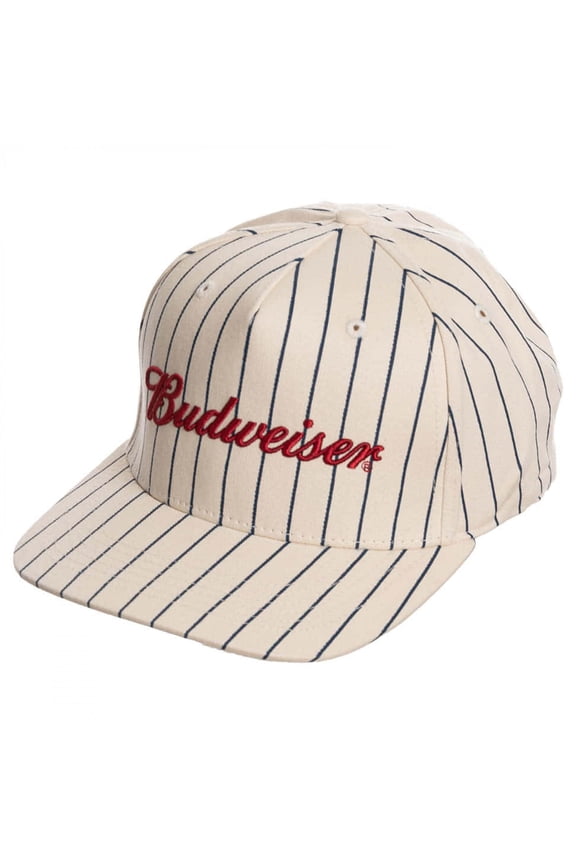 Woven Logo Pinstripe Snapback Hat