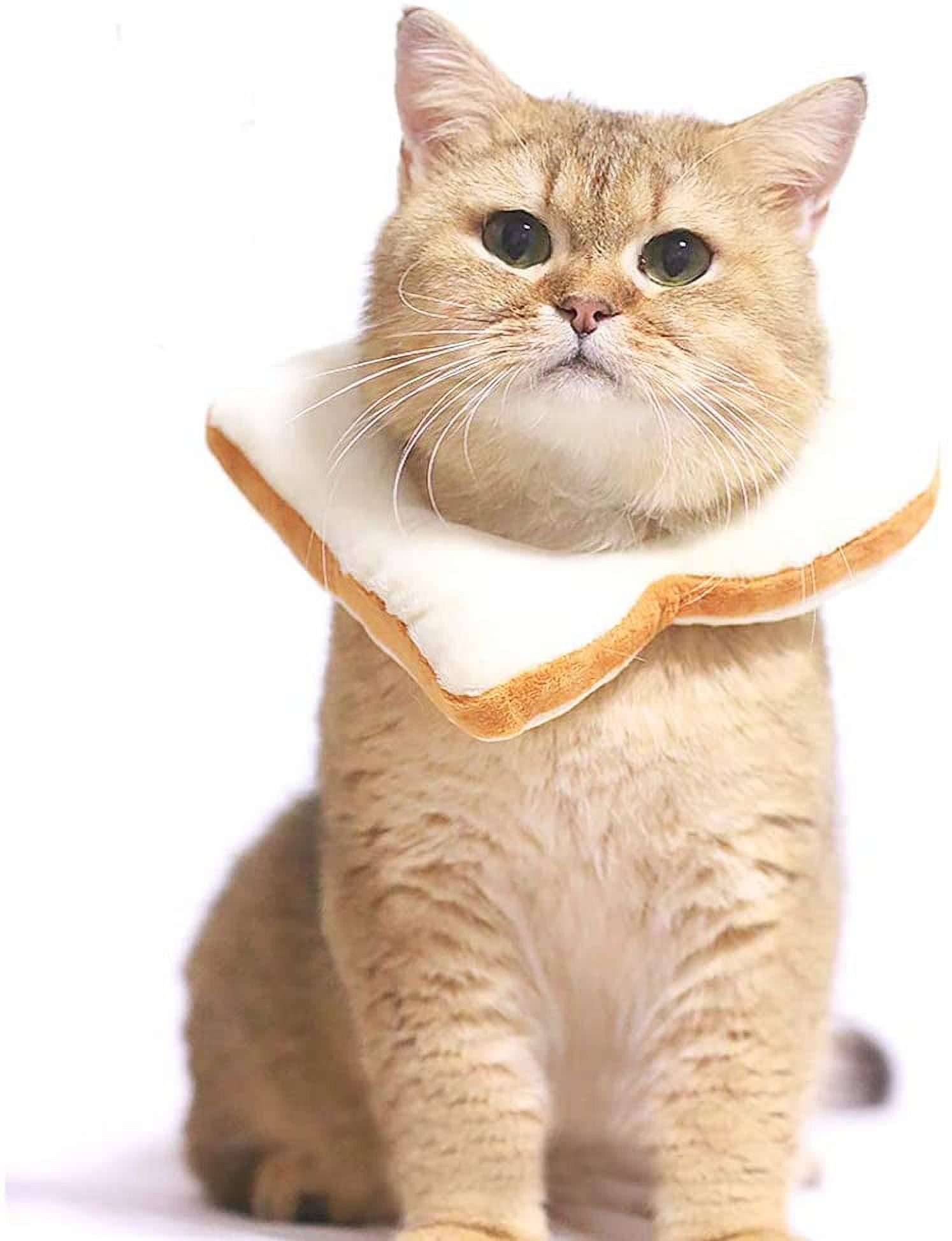 Cats Wearing Bread