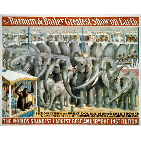 Buell "Barnum & Bailey" 1895 Elephant Glossy Poster