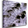 thumbnail image 1 of Buell Karman Canvas Print, 1 of 4