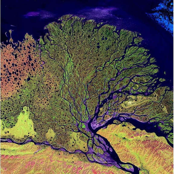 Buell Lena Wall Decal