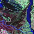thumbnail image 1 of Buell Parana River Delta Wall Decal, 1 of 2
