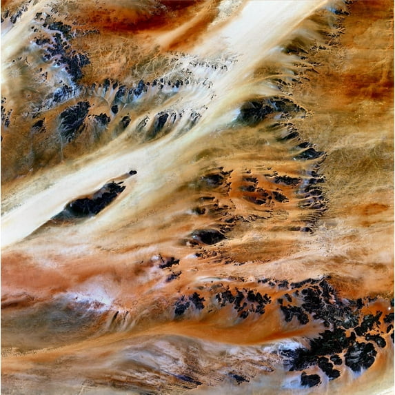 Buell Terkezi Oasis Wall Decal