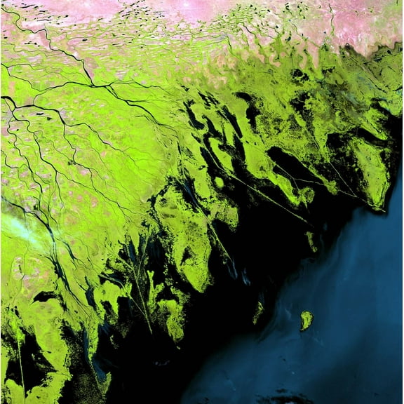 Buell Volga Delta Wall Decal