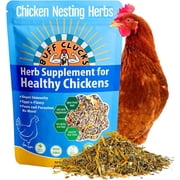 Buff Clucks Chicken Nesting Herbs for Backyard Chickens - All-Natural Aromatic Blend for Nesting Boxes & Chicken Coop - Plant-Based Herb Treat for Refreshing The Coop, Egg Production, USA 12 oz