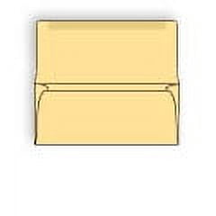 Buff Colored Collection/Remittance Envelope No. 6-1/4, 3-1/2