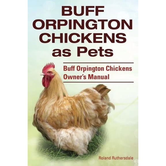 Buff Orpington Chickens as Pets. Buff Orpington Chickens Owner's Manual., (Paperback)