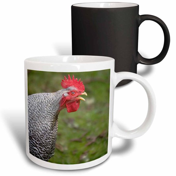 3drose, Buff Orpington Rooster, Farm Animal Crowing - Us48 Dbn0047 - David Barnes, 11oz Magic Transforming Mug