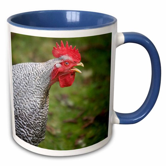 3drose, Buff Orpington Rooster, Farm Animal Crowing - Us48 Dbn0047 - David Barnes, 15oz Two-tone Blue Mug