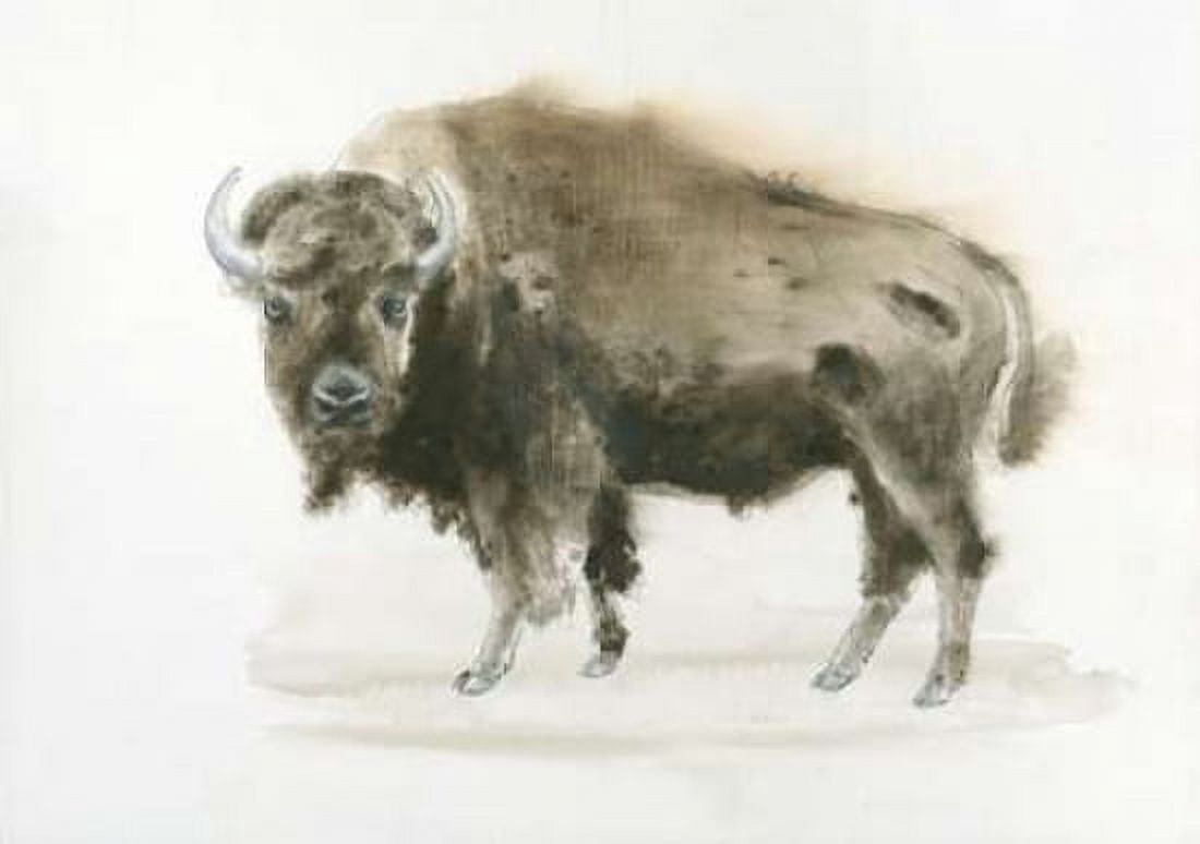 Buffalo Bill Canvas Art - James Wiens (20 x 28)