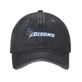 thumbnail image 1 of Buffalo Bisons Hat Adult Adjustable Classic Washed Casquette Cap Hat Baseball Cap, 1 of 8