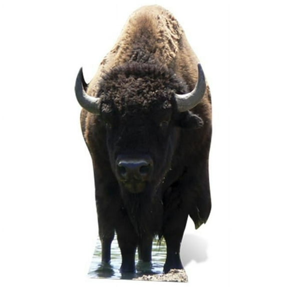 Buffalo Cardboard Cutout