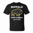 thumbnail image 1 of Buffalo Eclipse Outline T-Shirt, April 8 2024 Total Solar Eclipse Tee, Buffalo New York Celestial Event Graphic Shirt, Path of Totality Commemorative Apparel, Astronomy Lover , Size XL, Color Black, 1 of 3