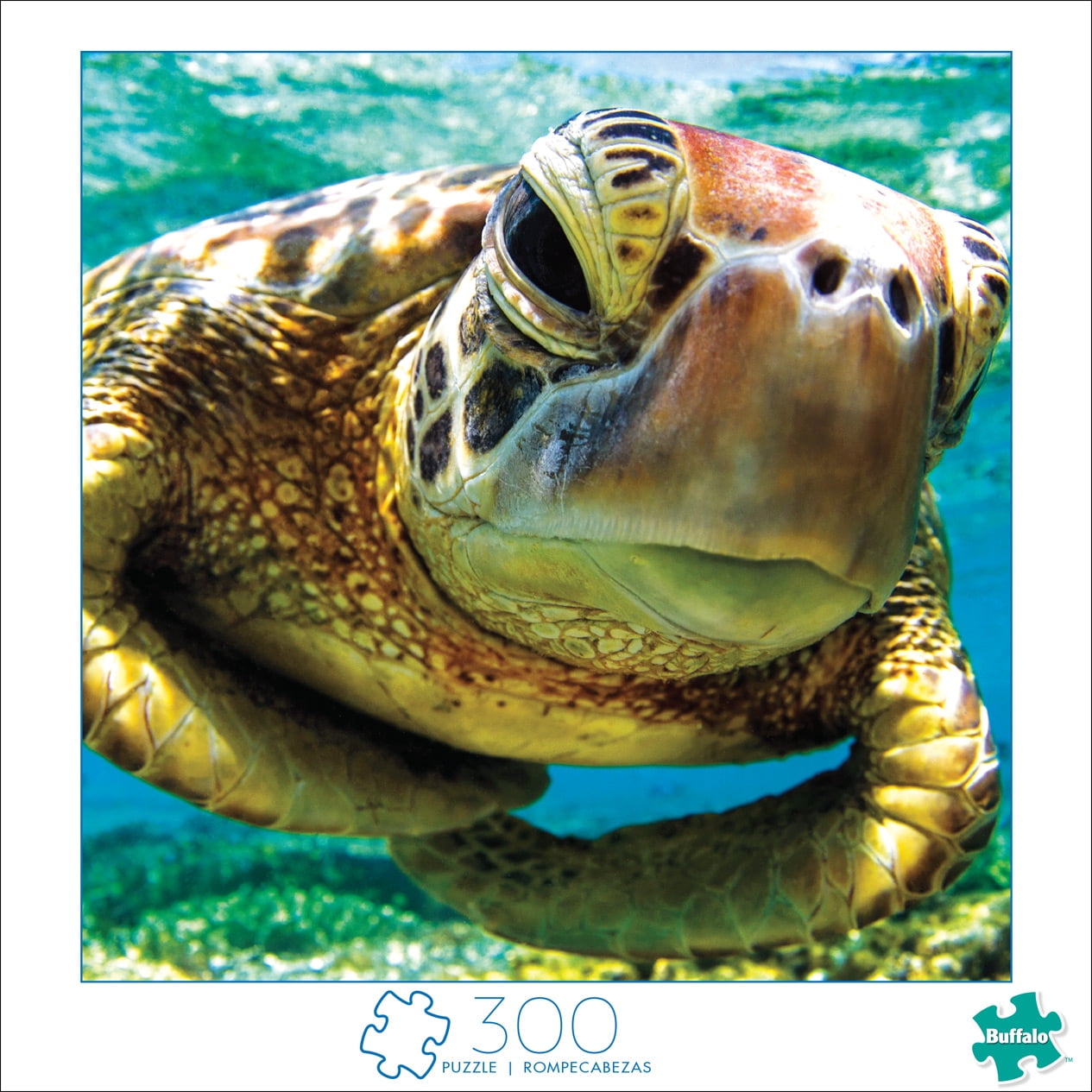 Buffalo Games - Art of Play - Turtle Swimmer - 300 Piece Jigsaw Puzzle