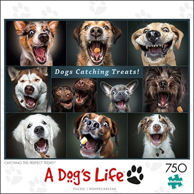 Buffalo Games Dog Days Catching the Perfect Treat 750-Piece Interlocking Jigsaw Puzzle for Adults Ages 14+