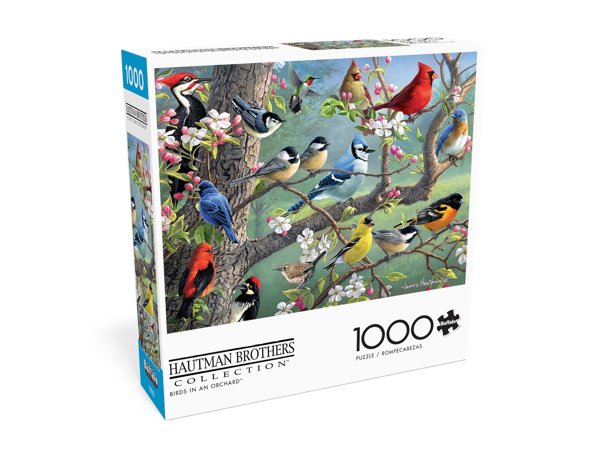 Hidden Birds 1000 Piece Jigsaw Puzzle - Buffalo Games Premium Quality Puzzle