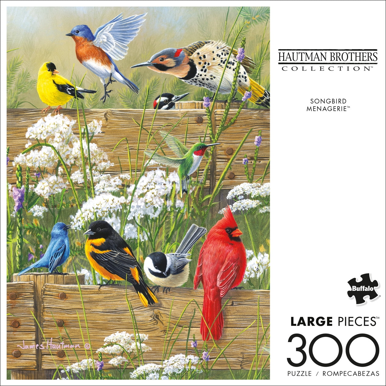 Buffalo Games - Hautman Brothers - Birds in an Orchard - 1000 Piece Jigsaw  Puzzle, Jigsaw Puzzles -  Canada
