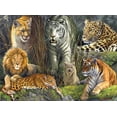 Buffalo Games James STF9 Hautman Big Cat Collage 1000 Piece