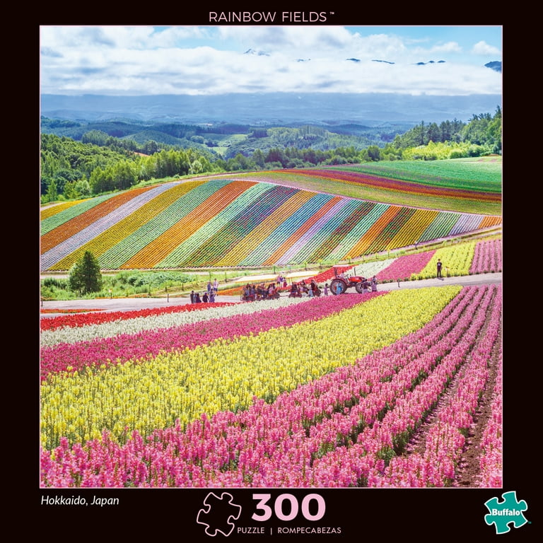 Buffalo Games Modern Photography - Rainbow Fields 300 Pieces