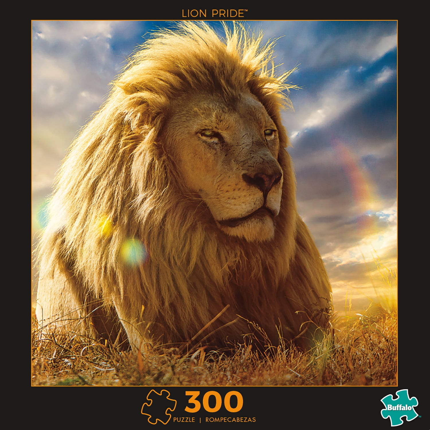 Picture Matching Puzzle ライオン Puzzle Matching – Lion | Arischool