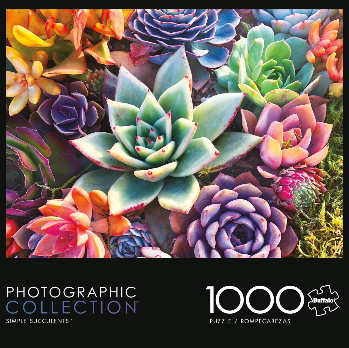 Buffalo Games - Photography - Simple Succulents - 1000 Piece Jigsaw Puzzle