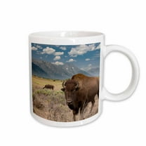 3drose, Buffalo. Grand Teton National Park, Wyoming., 15oz Mug