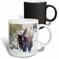 thumbnail image 1 of 3drose, Buffalo in Snow. Yellowstone National Park. Wyoming., 11oz Magic Transforming Mug, 1 of 7