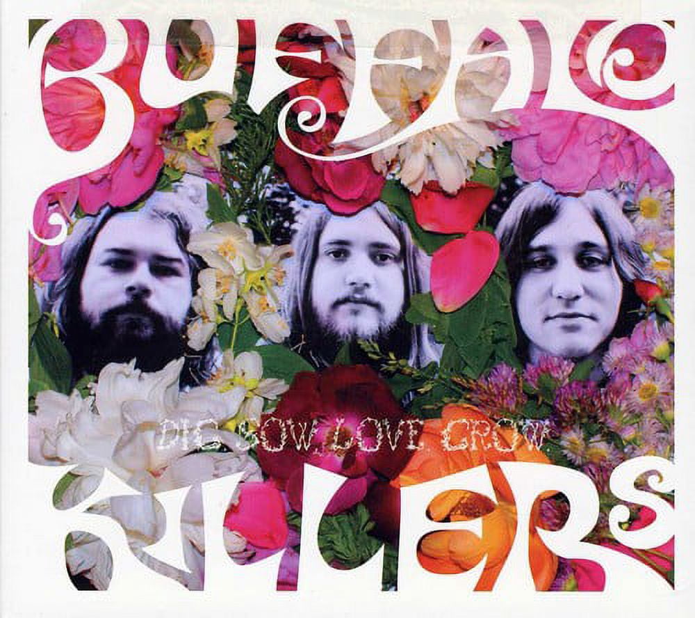 Buffalo Killers - Dig Sow Love Grow - Rock - CD - Walmart.com