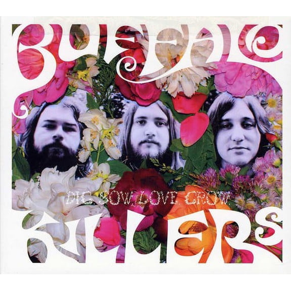 Buffalo Killers - Dig Sow Love Grow - Rock - CD