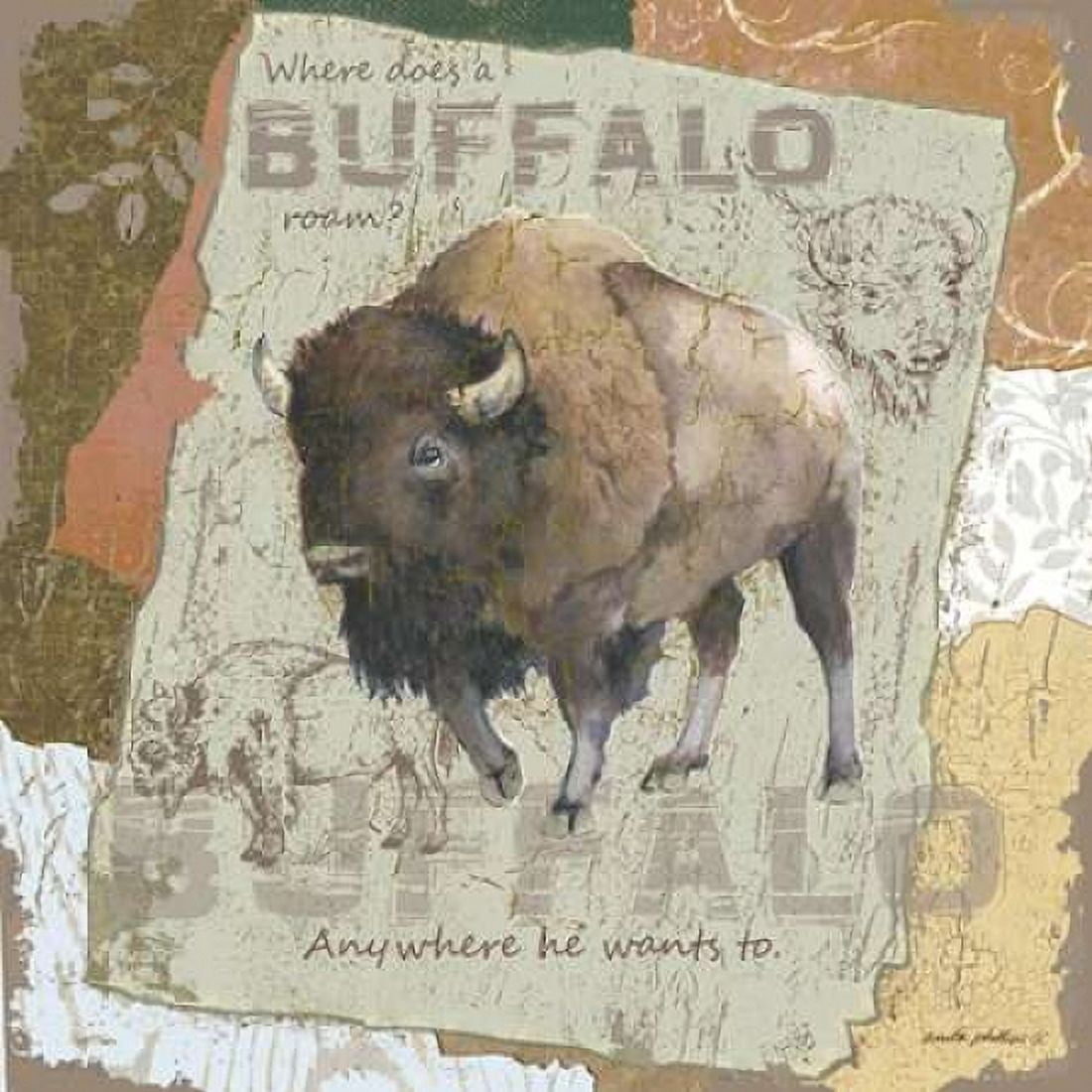 Buffalo Roam Canvas Art - Anita Phillips (24 x 24)