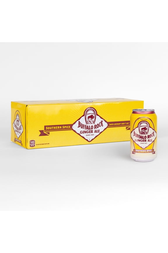 Southern Spice Ginger Ale Soda Pop, 12 fl oz 12 Pack Cans