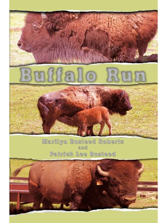 Buffalo Run, (Paperback)