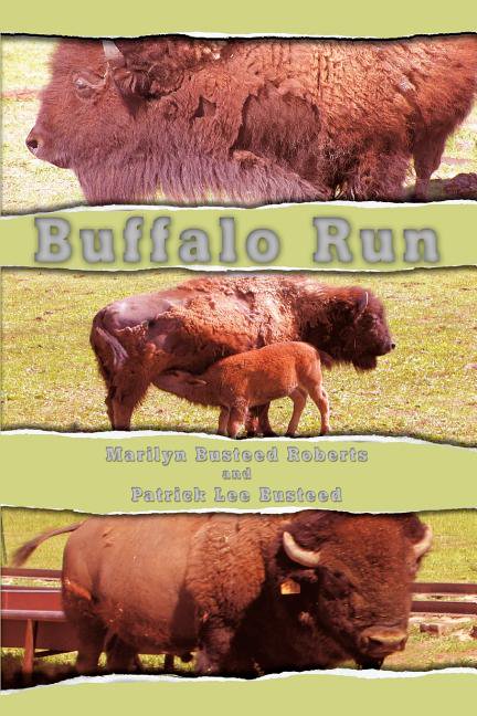 Buffalo Run (Paperback) by Marilyn Busteed Roberts, Patrick Lee Busteed